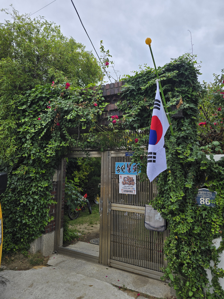 송원물회횟집 사진 3