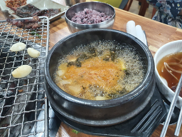 부산갈매기 사진 4