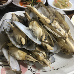 벌교꼬막정식 미향식당 사진 5