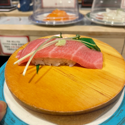 태스시 사진 5