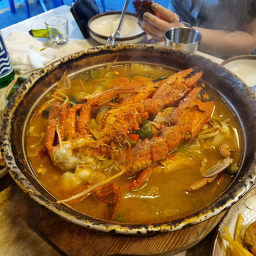새옹지마 사진 2