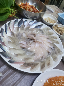 풍성한회나라 대표 사진