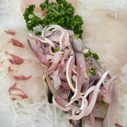 동백섬횟집 사진 7
