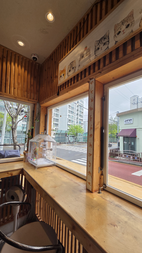 코코리식당 사진 4