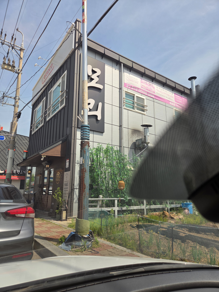 모리 대표 사진