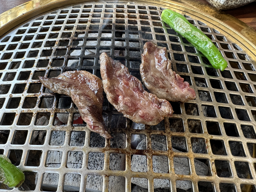 The금송 사진 4
