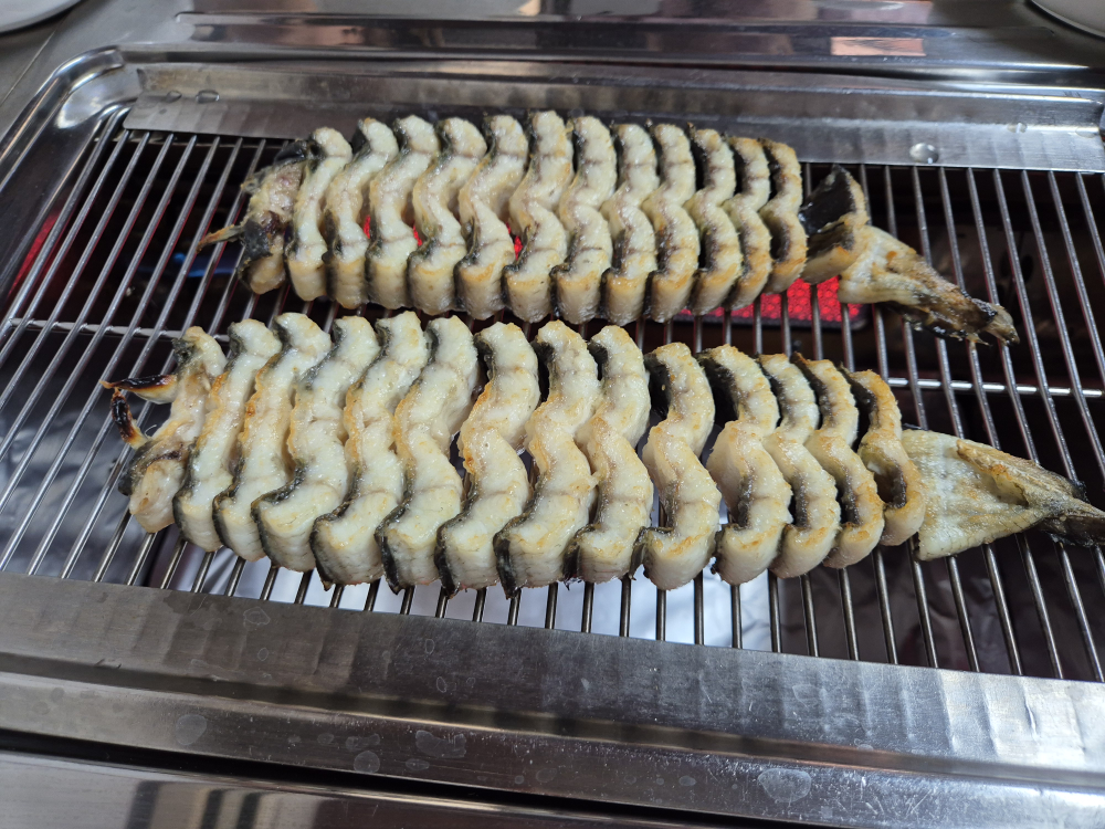 유산민물장어 사진 2