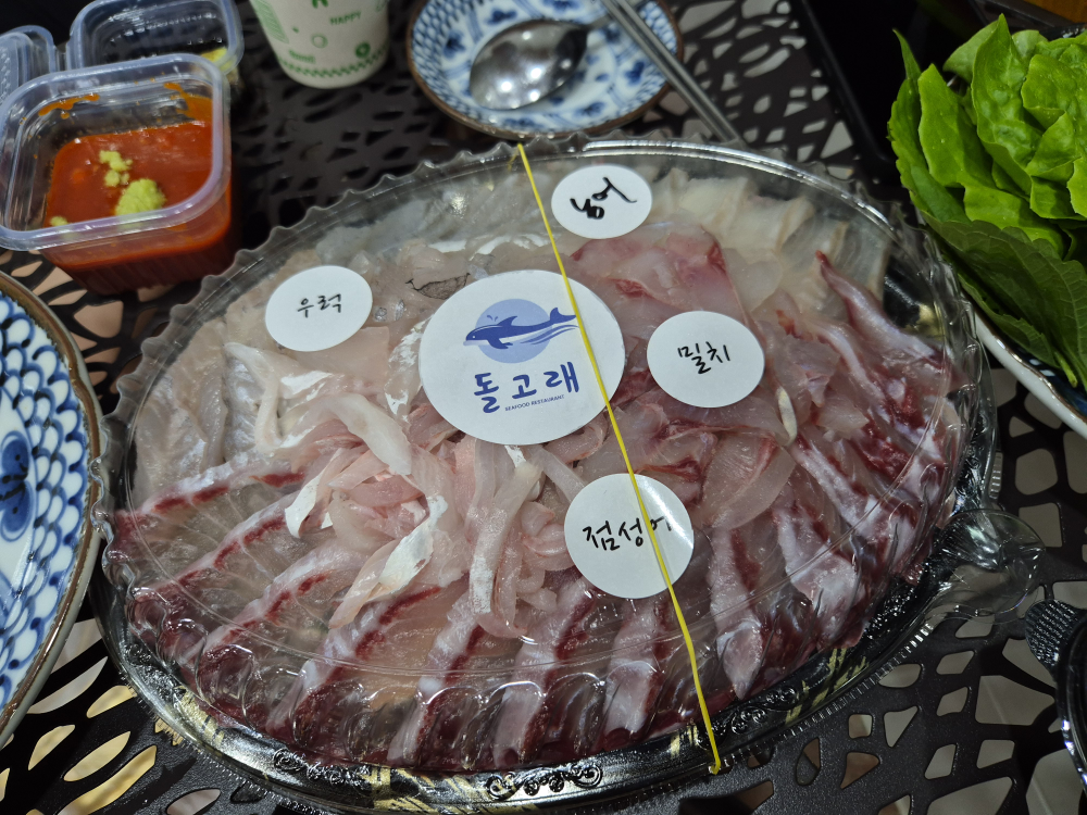 돌고래 사진 4