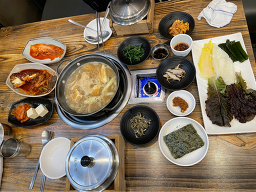 대수정 대표 사진