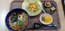 호렌소 사진 5