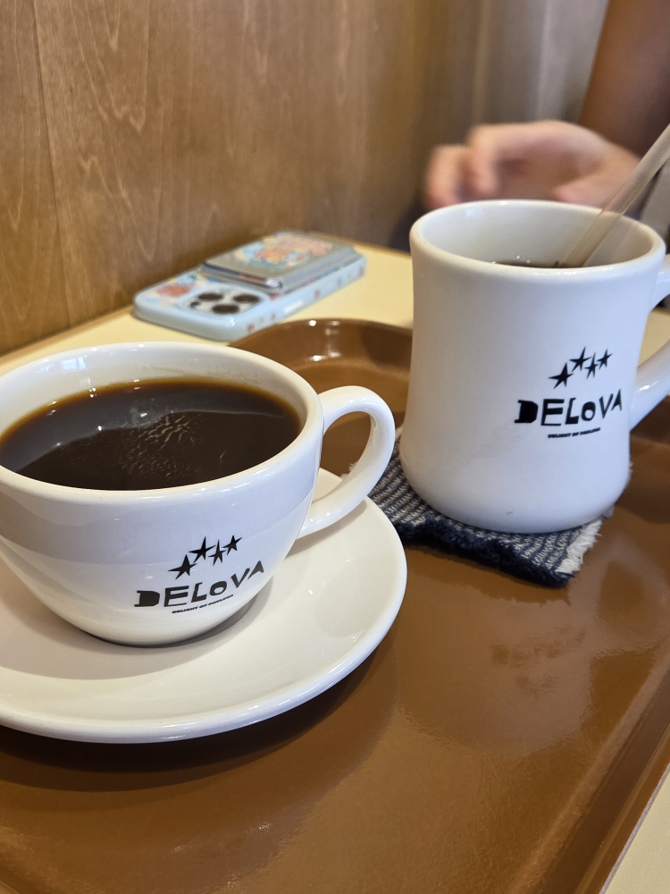 델로바 사진 4