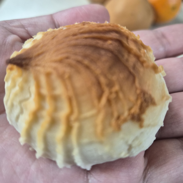 메종드콘 사진 4