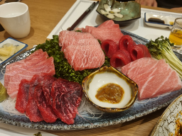 참치철 사진 3