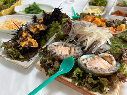 해안선 사진 6