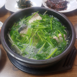 홍도복어 사진 7