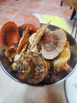 오색집 사진 6