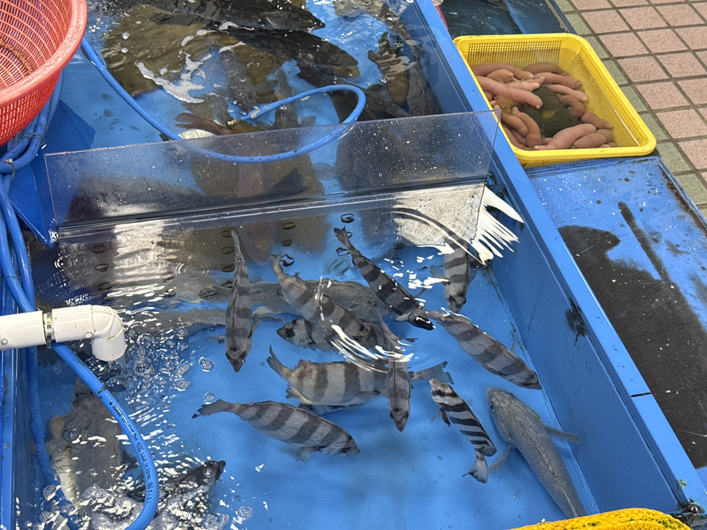 부산홍씨상회 사진 8
