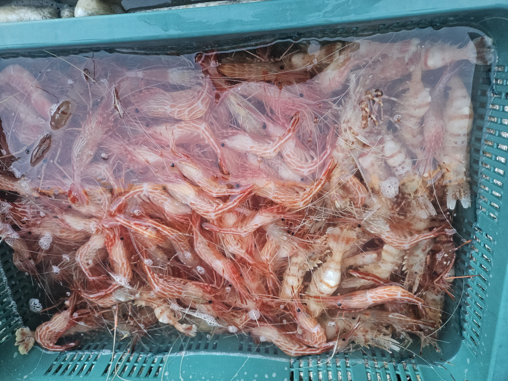 해운대바다포차 사진 4