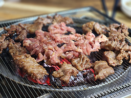 부산갈매기 사진 4