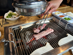 유명갈매기 사진 2