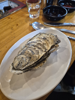 청솔 사진 2