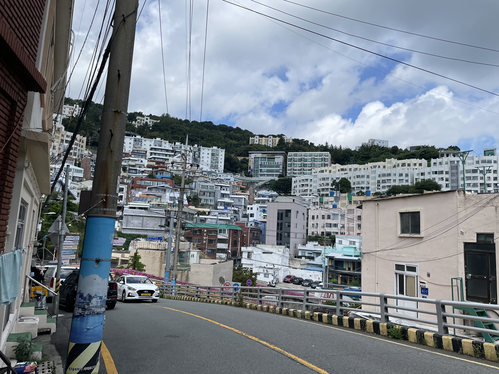 중구기사식당 사진 2