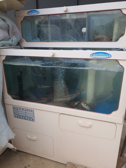 봉화식당 사진 3