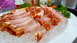 해저도시 사진 7