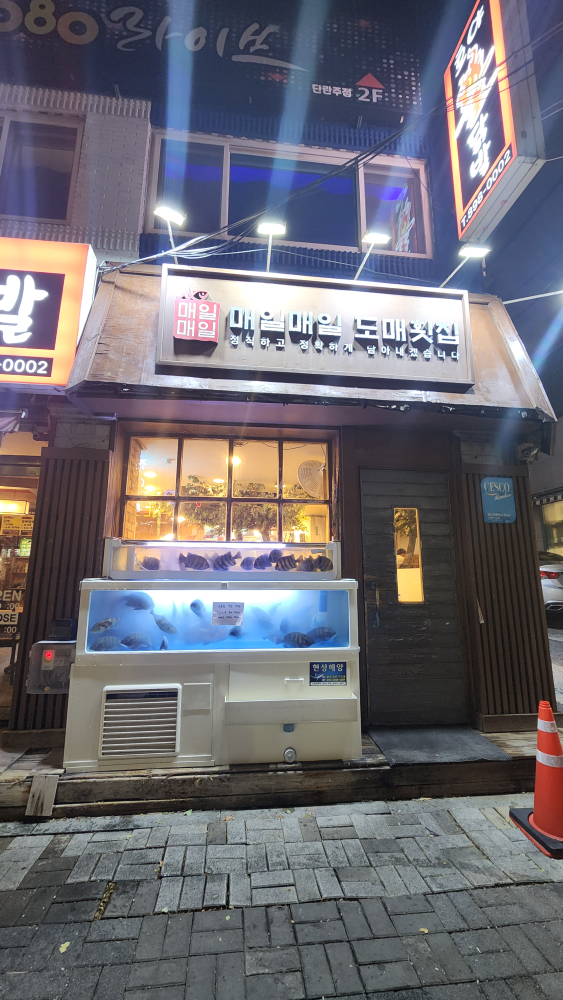 매일매일도매횟집 사진 4