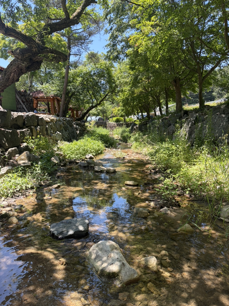 애견동반