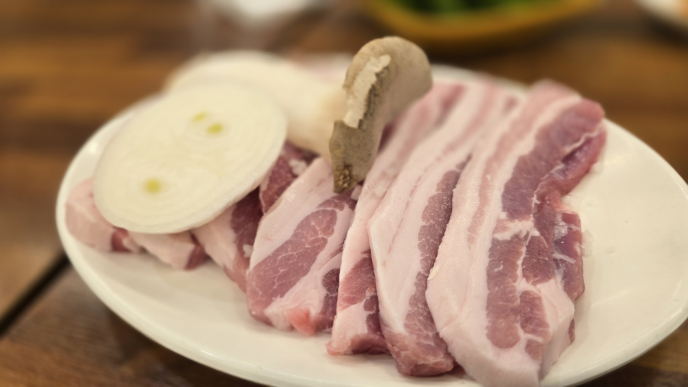 백송 사진 2