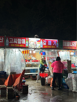 갈매기 사진 4