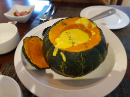 돌담 사진 8
