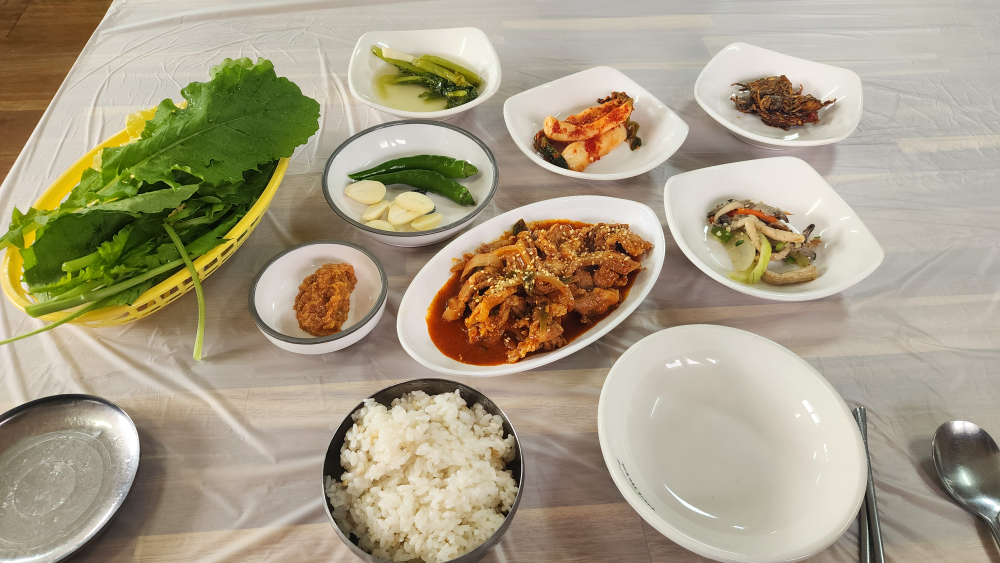 해바라기 사진 2