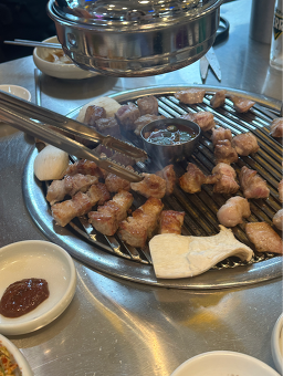 백수농원 사진 6
