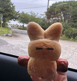 함베이글 대표 사진