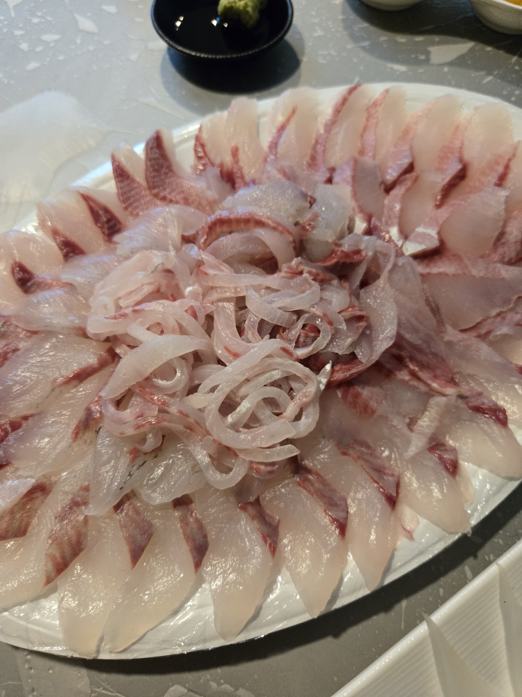 살아있네문어 대표 사진