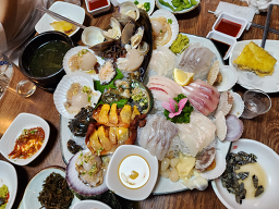 물속세상 사진 3
