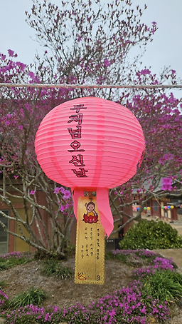 장원식당 사진 5