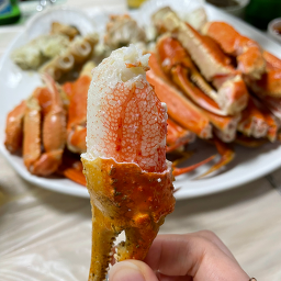 조은대게 사진 5