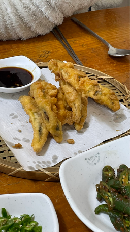 홍질목 사진 2