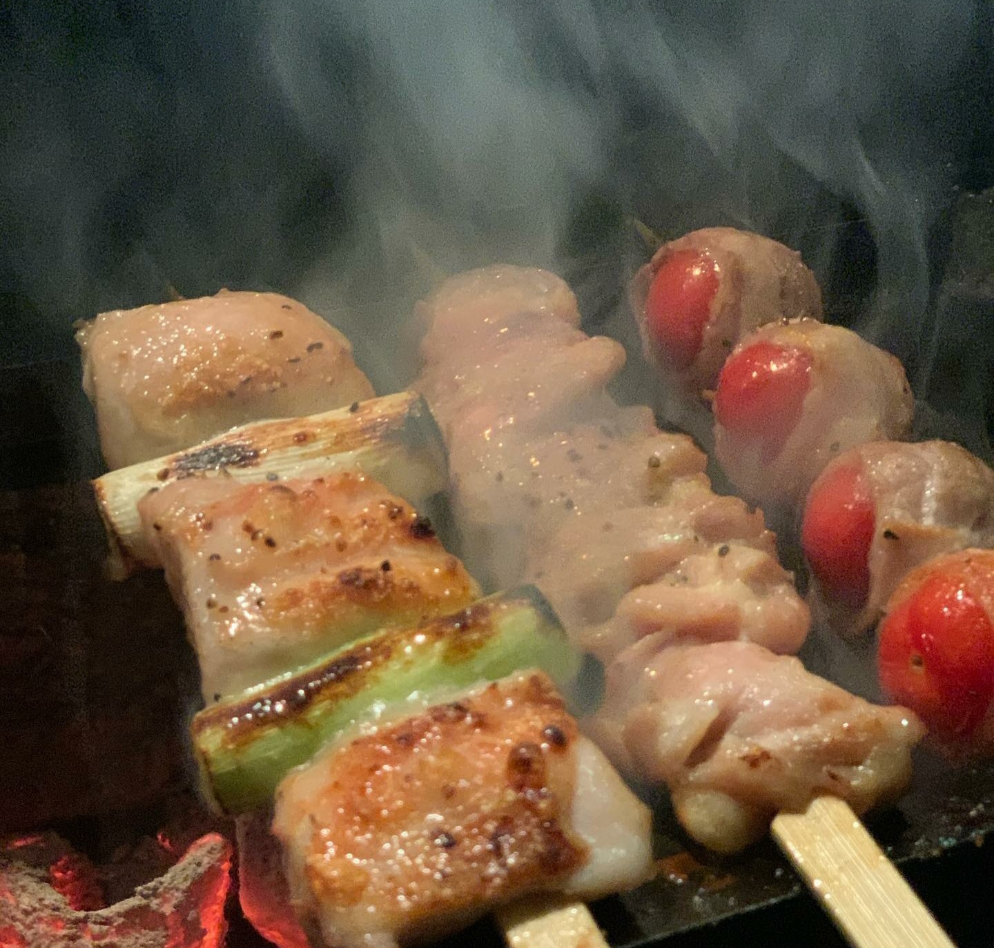 타카라 사진 8