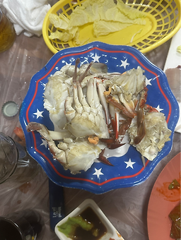 가미섬 사진 2