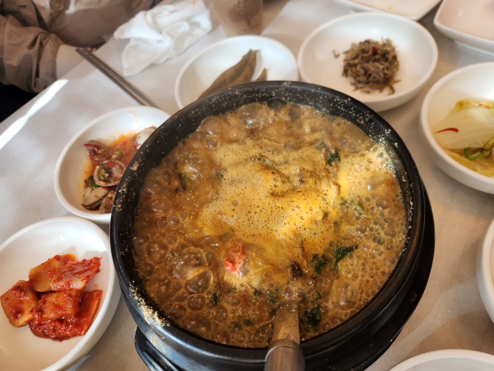 강변장어 사진 4