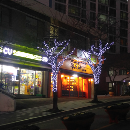 레브드쉐프 사진 2