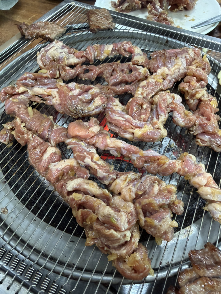 부산갈매기 대표 사진