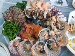 신비포차 사진 2