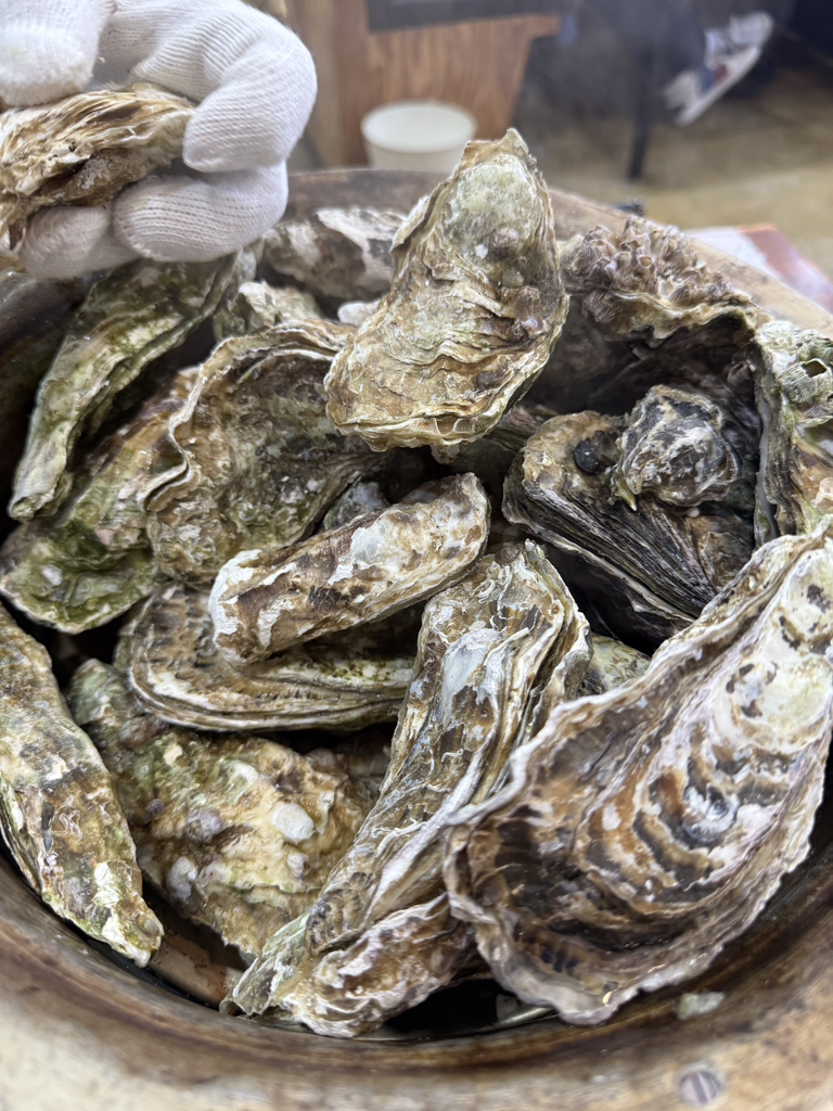 삼삼오오찜보쌈 당감점 사진 5