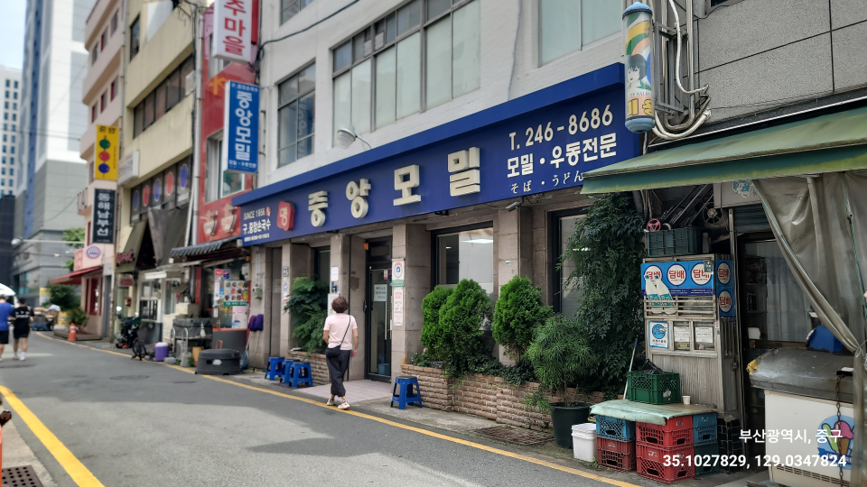 중앙모밀 사진 4