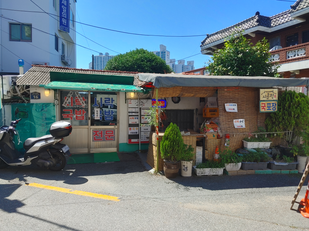 시골집 대표 사진